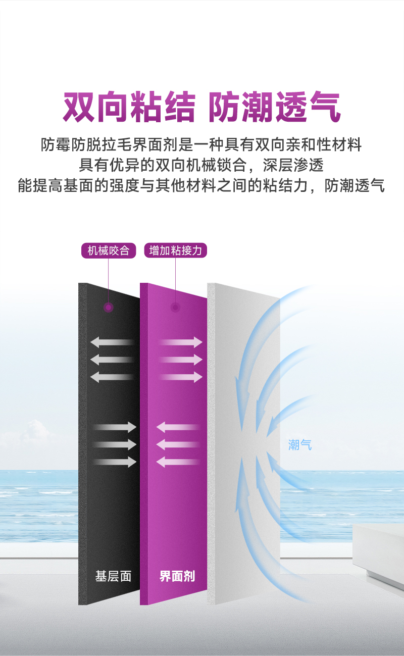 Z6·尊龙「中国」官方网站